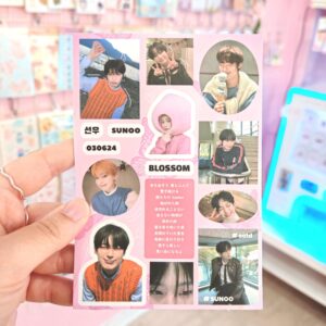 Enhypen Sticker Sheet - Sunoo